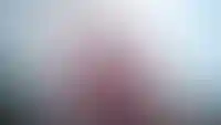 Изображение галереи