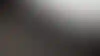 Изображение галереи