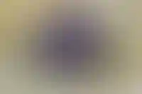 Изображение галереи