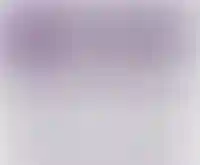 Изображение галереи