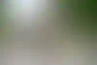 Новосибирская область. Поселок Красный Яр. Местные жители у многоквартирного двухэтажного дома, где произошел взрыв газа.