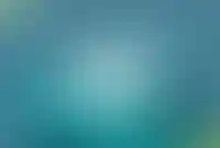 Изображение галереи