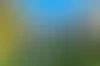 Выставленный на продажу дом