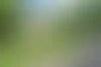 Свердловская область. Серов. Обстановка около пятиэтажного дома, где прогремел взрыв газа.