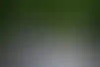 Движение бежит