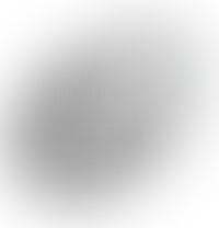 Фон программы