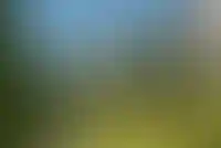 Гранд Отель Поляна