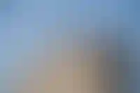 Из IT-ипотеки намерены исключить Москву и Санкт-Петербург_491