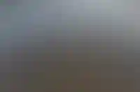 Госдума рассмотрит законопроект о компенсациях владельцам домов, разрушенных из-за ЧС_1330