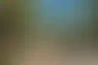 Сколько стоит тень в ЖК: как застройщику &laquo;уложиться в бюджет&raquo; при благоустройстве территории_250