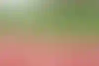 Спортивная инфраструктура в новых ЖК: что выбирает застройщик и покупатель
_200