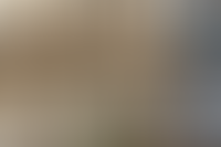 Группа ЛСР расширила земельный банк в Москве, выкупив активы компании «Кеско-Терминал»_2197