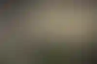 РСПП обратится в Минстрой для передачи памятников под реконструкцию в жилые дома_5015