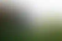 Эксперты: «Эскроу-счета в ИЖС вытеснят с рынка мелких игроков»_557