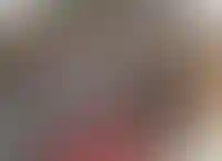 Правила содержания домашних животных, что говорит закон_3237