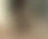 Setl Group выплатит акционерам дивиденды за 2024 год на 2 млрд рублей_2730