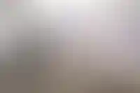 ФАС возбудила дело против группы лиц ПИК за ограничение доступа провайдерам_4597