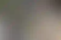 Законопроект о рассрочках на новостройки разрабатывают в Госдуме_4692