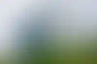 В Подмосковье впервые с начала года подорожали новостройки_3374