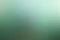 Банки разработают стандарт страхования заемщиков для снижения числа жалоб_4837