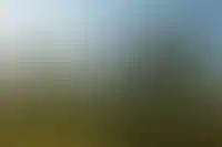 Спрос на ипотеку в новостройках Москвы упал на четверть за год_2318