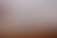 Генпрокуратура изымет у экс-мэра Владивостока санаторий и апарт-отель в доход РФ_4033