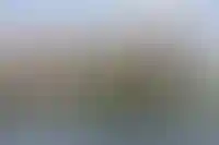 «Квадрат» на первичном рынке элитной недвижимости Москвы подорожал за год на 34%_3824