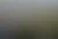 Бывший аэродром Быково в Раменском округе Подмосковья продадут на торгах