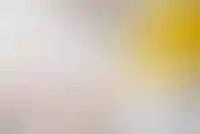 Инсити анонсировал разработку жилого района ИЖС в Троицком округе Москвы_3658