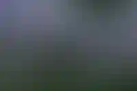 В ВТБ допустили повышение ставки до 20% уже в июле_566