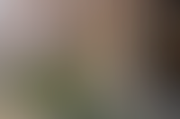 Когда выгоднее покупать квартиру: цены и времена года_3163