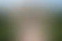 ВТБ выставил на торги курортный комплекс в Сочи за 10 млрд рублей_3753