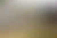 Новый сезон: районы Подмосковья с самыми дешевыми дачами_3178