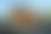 Башкортостан, Краснодарский край и Татарстан вышли в лидеры по выдачам новой семейной ипотеки для ИЖС_826