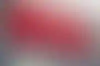 Роспотребнадзор поддержал покупателей в споре о «потребительском экстремизме»_3346