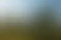 Девелоперы снизили объем ввода жилья в мегаполисах РФ на 16%_3778