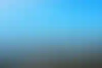 На рынок недвижимости Сочи впервые за последние годы вышел новый игрок
_102