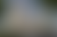 Agalarov Development вложит 113 млн долларов в апарт-комплекс в Ташкенте_976