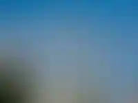 Самые маленькие квартиры в 2024 году строят в Ленобласти, самые большие — в Ингушетии_2165