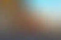 Кот на новоселье и тестировщик комфорта квартир: как девелоперы ищут специалистов через необычные вакансии_397