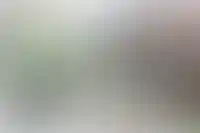 ЦБ разъяснил, какие документы потребуются гражданам для получения ипотеки_4220