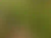 В российских мегаполисах дешевеет земля: лидеры снижения — Урал и Самара_845