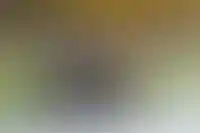 Риелторы почти вдвое чаще проигрывают суды по продаже жилья с «ведомыми» продавцами_5043