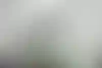 На работу в Россию привлекут мигрантов из Афганистана_5541