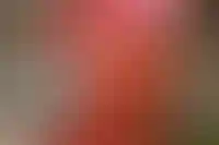 Владелец «Гранели» стал фигурантом уголовного дела об особо крупной взятке
_149