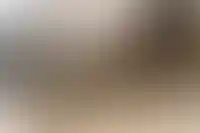 Плиточники с доходом 104 тыс. рублей стали лидерами среди подрядчиков с начала года_5717