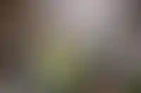 «Севергрупп» Мордашова может стать новым владельцем сети гипермаркетов OBI в России_3168