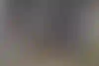 Инвестиции в складскую недвижимость выросли в 2,7 раза с начала 2024 года_684