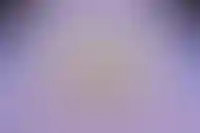 Депутаты Мосгордумы отменили запрет на оформление земельных участков с обременением_2751