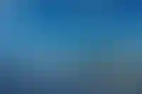 ЛСР вдвое увеличила продажи недвижимости в 2023 году
_55